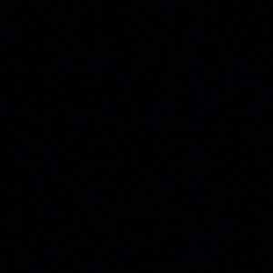 Meet your Posher, Max